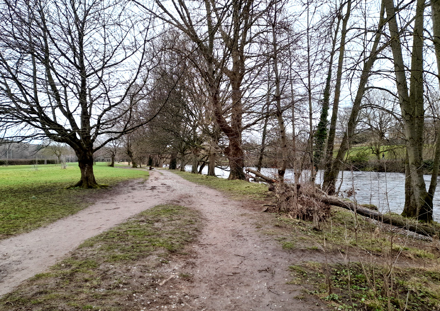 River walk at Ilkley